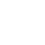 logoipsum-9